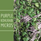 C882AFA3-BDE0-40F8-AA1A-59EFAE826D16