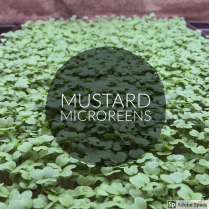 7E5CC4A5-0FB6-4ACF-A1B5-5EB9BA2517E8